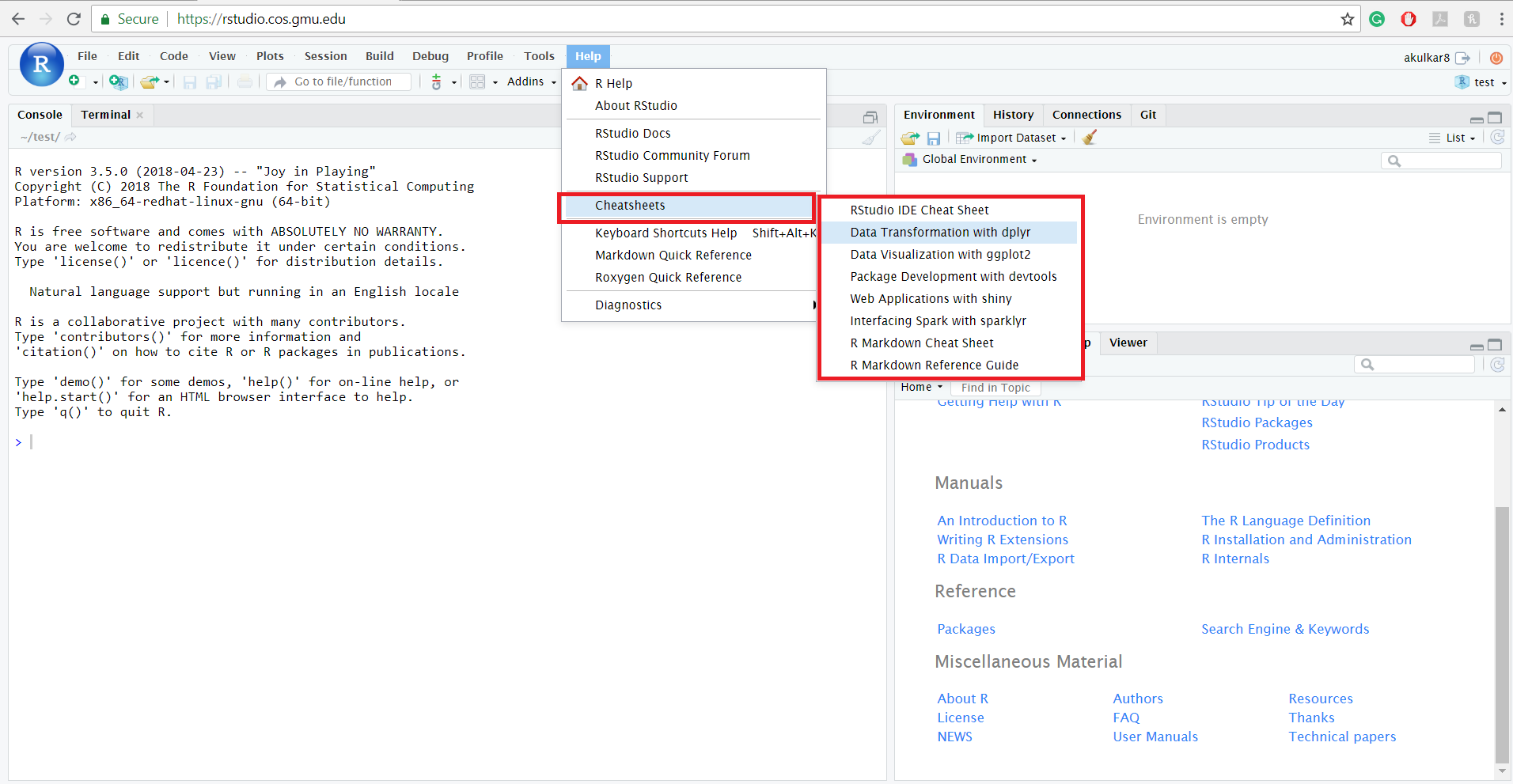 RStudio User Guide - Text Editor