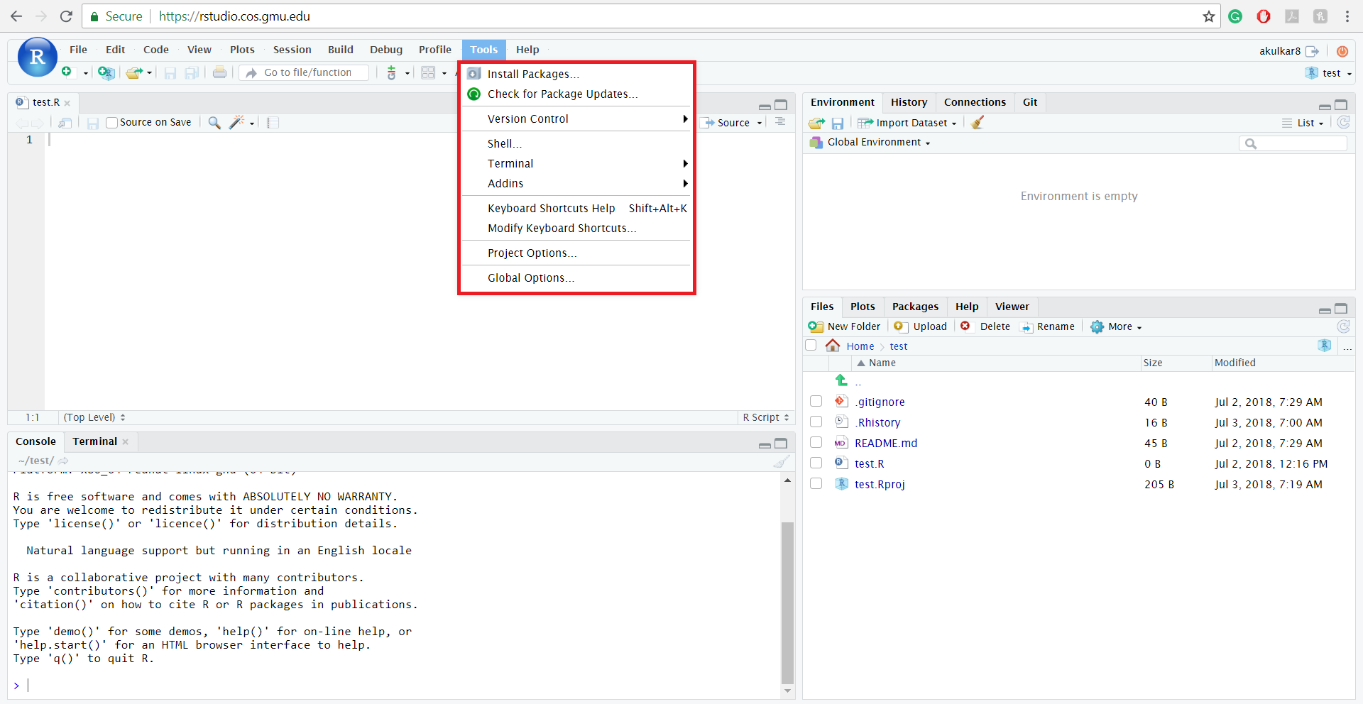  A guided tour of RStudio Server's default interface | Introduction to  Computational and Data Sciences